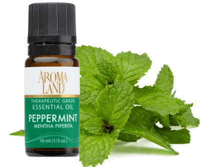 Essential Oil Excellence at an Affordable Price